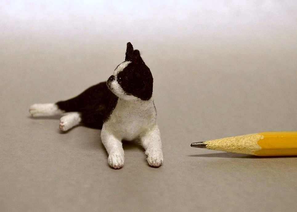 Hand carved 



furred realistic OOAK dollhouse miniature Boston terrier
