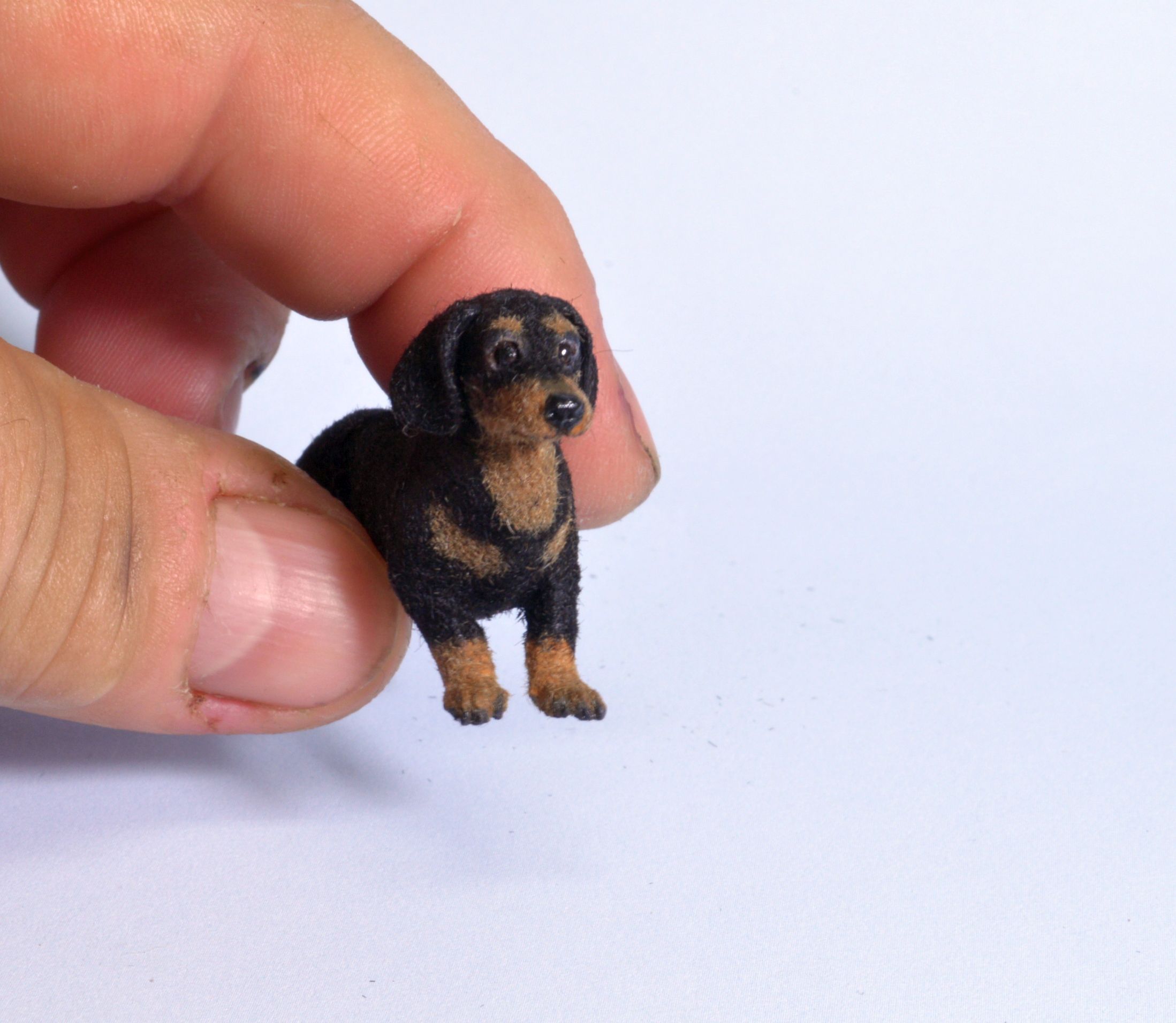 Hand 



carved furred realistic OOAK dollhouse miniature black and tan Dachshund doxie